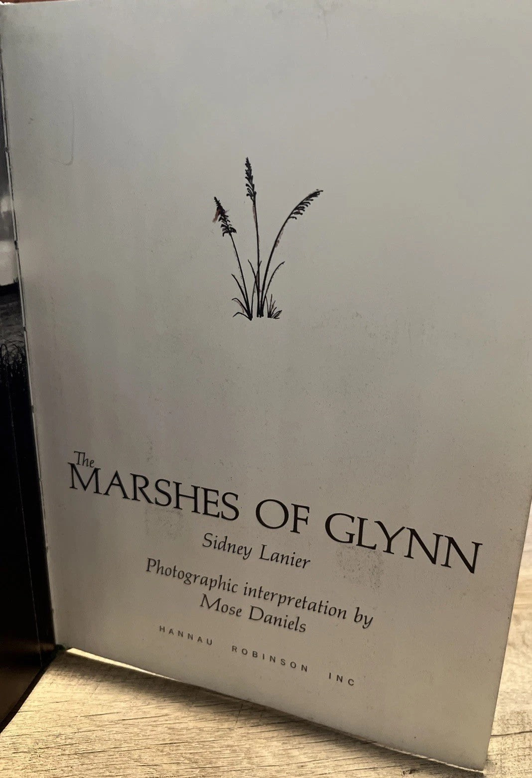 Sidney Lanier - Marshes of Glynn: Photographic Interpretation by Mose Daniels