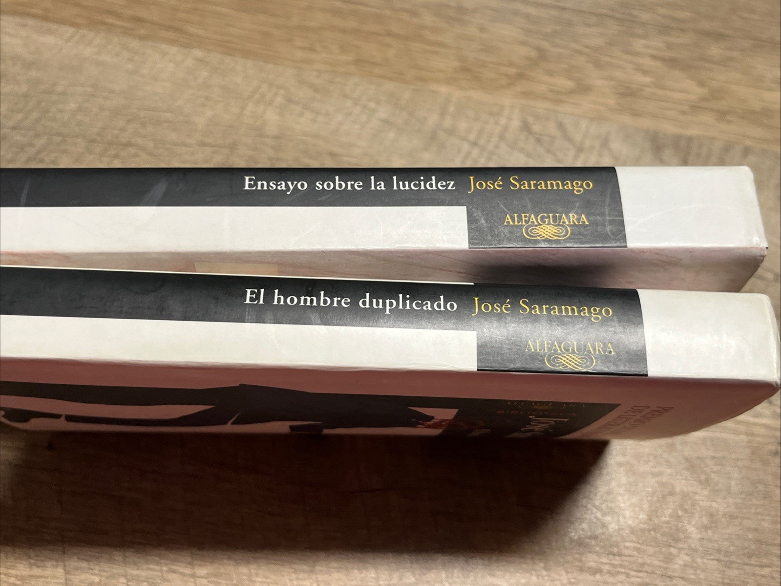 Jose Saramago ENSAYO SOBRE LA LUCIDEZ Y El Hombre Duplicado (SPANISH)
