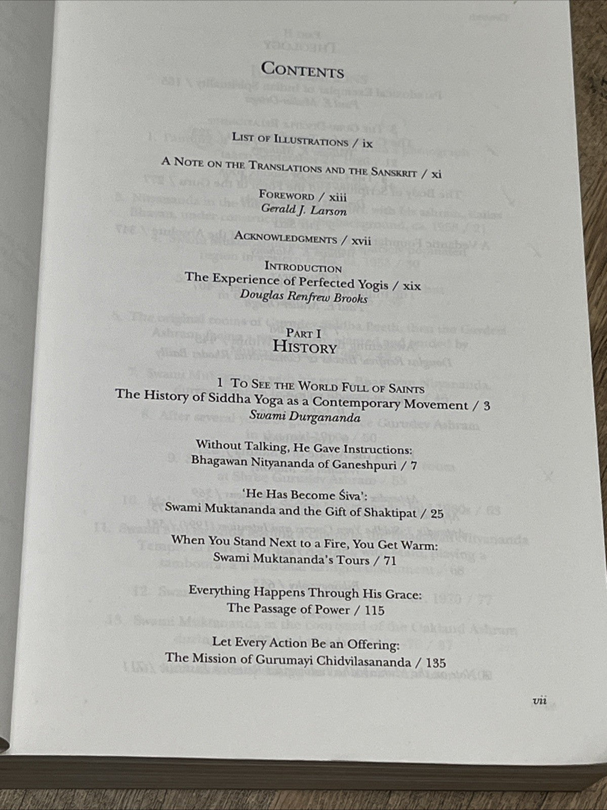 Meditation Revolution 1st Ed A History And Theology Of The Siddha Yoga Lineage