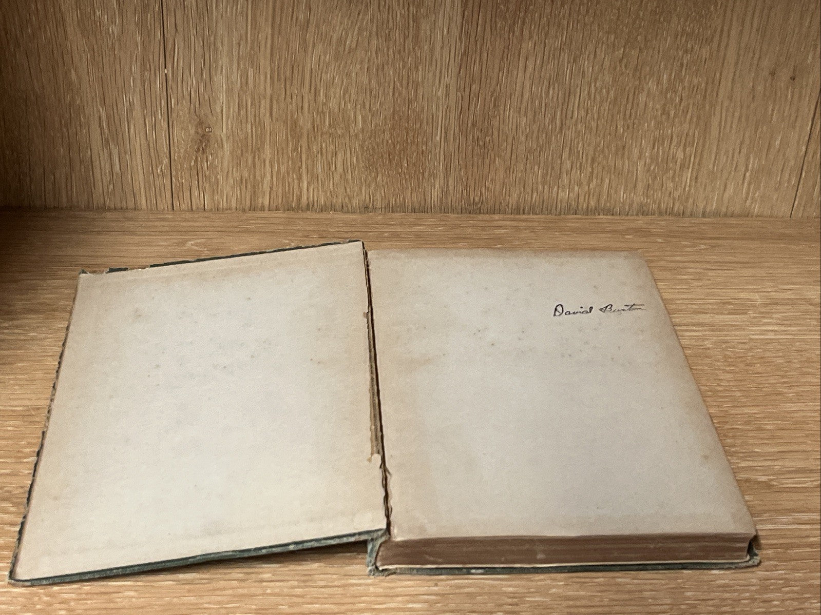 The Beautiful World Pictures of the Epistle to the Ephesians 1st Ed Haynes 1911