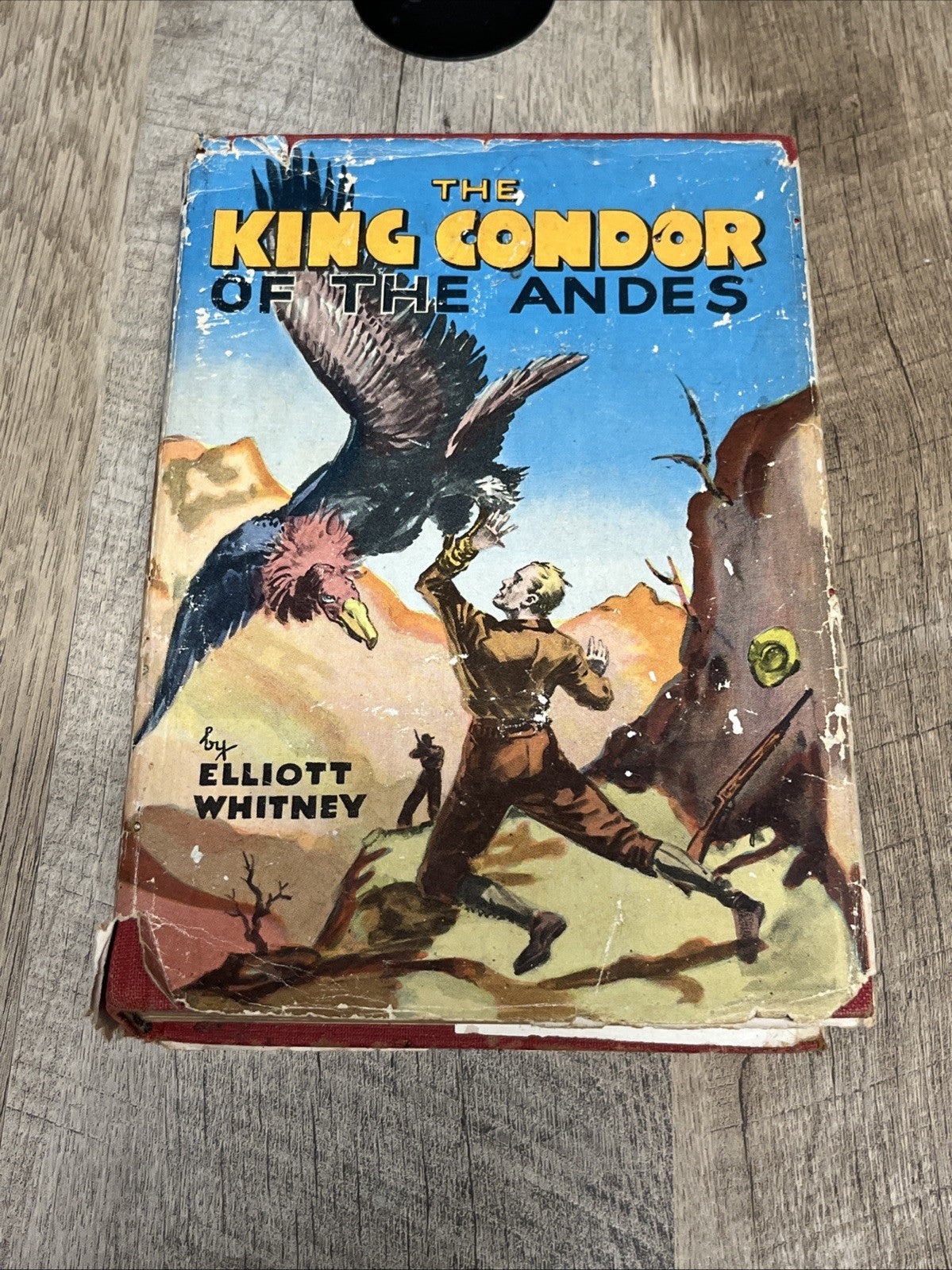 The King Condor of the Andes by Elliot Whitney 1915 Vintage Book