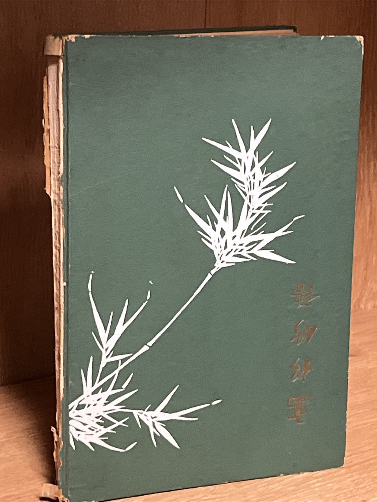Chinese Character Exercise Book for practicing calligraphy Gao Song Fang Pu
