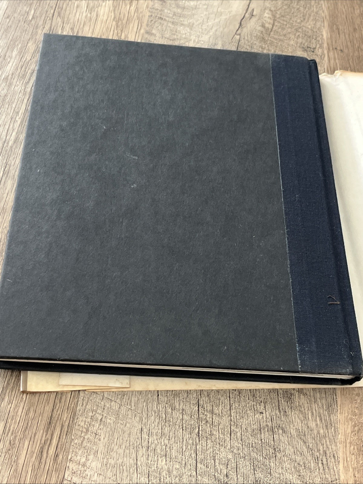 The Last Sailors 1st Edition  Neil Hollander And Harald Mertes Ex-Library 1984