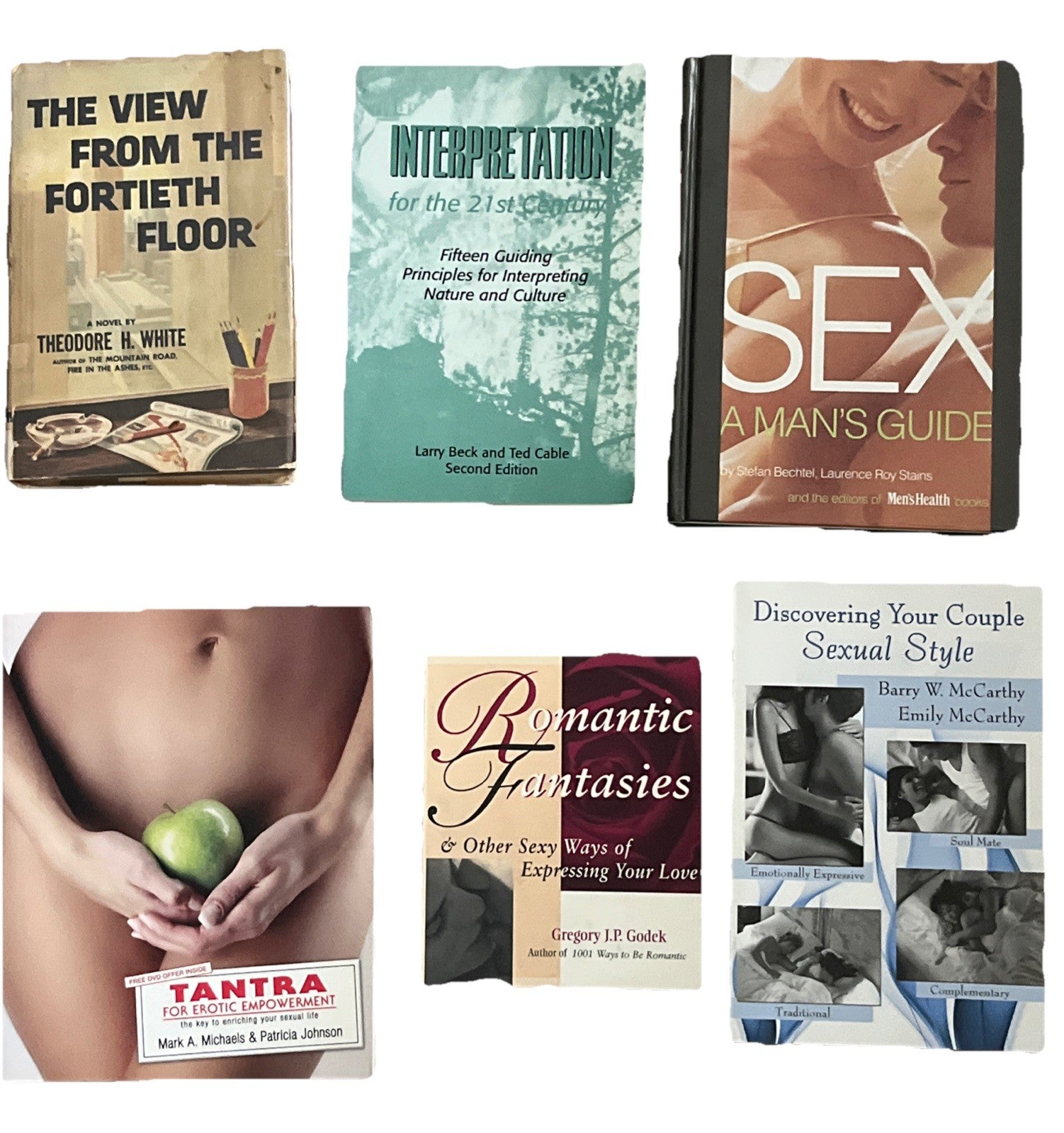 Lot of 2 Novels Plus 4 Sexual Style Fantasies Guides Romantic Books