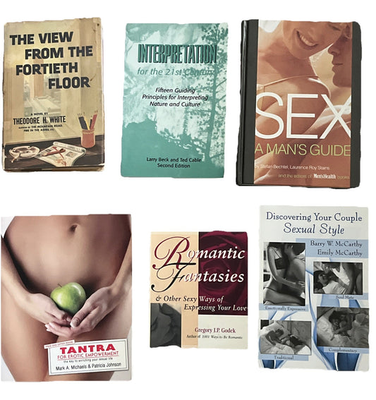 Lot of 2 Novels Plus 4 Sexual Style Fantasies Guides Romantic Books