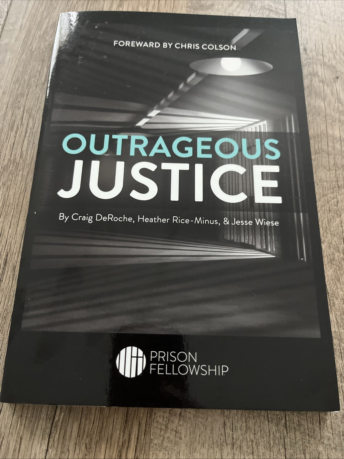 Outrageous Justice by Craig DeRoche, Heather Rice-Minus and Jesse Wiese Book Lot