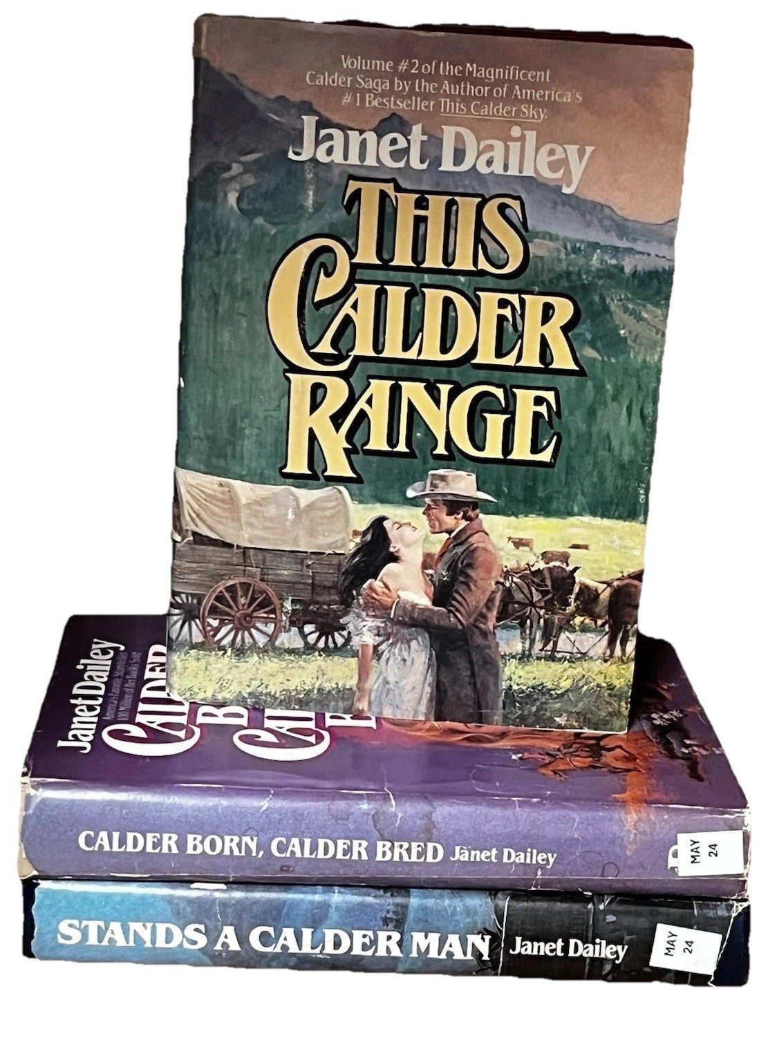 Janet Dailey Hardcover Books Lot Romance Notorious,This Calder Range 1982/1983
