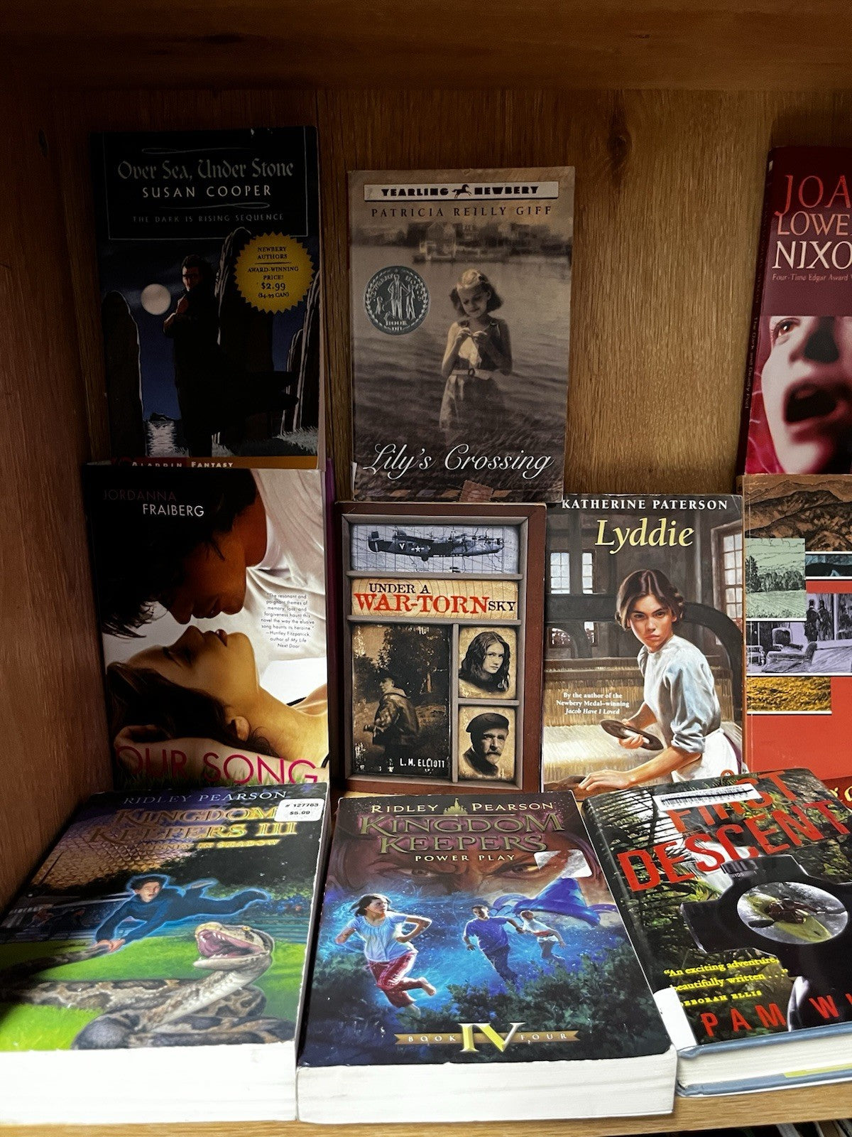 Young Adult book lot 20 Random