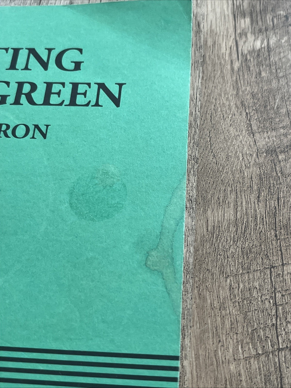 Visiting Mr. Green by Jeff Baron (Trade Paperback) FREE SHIPPING