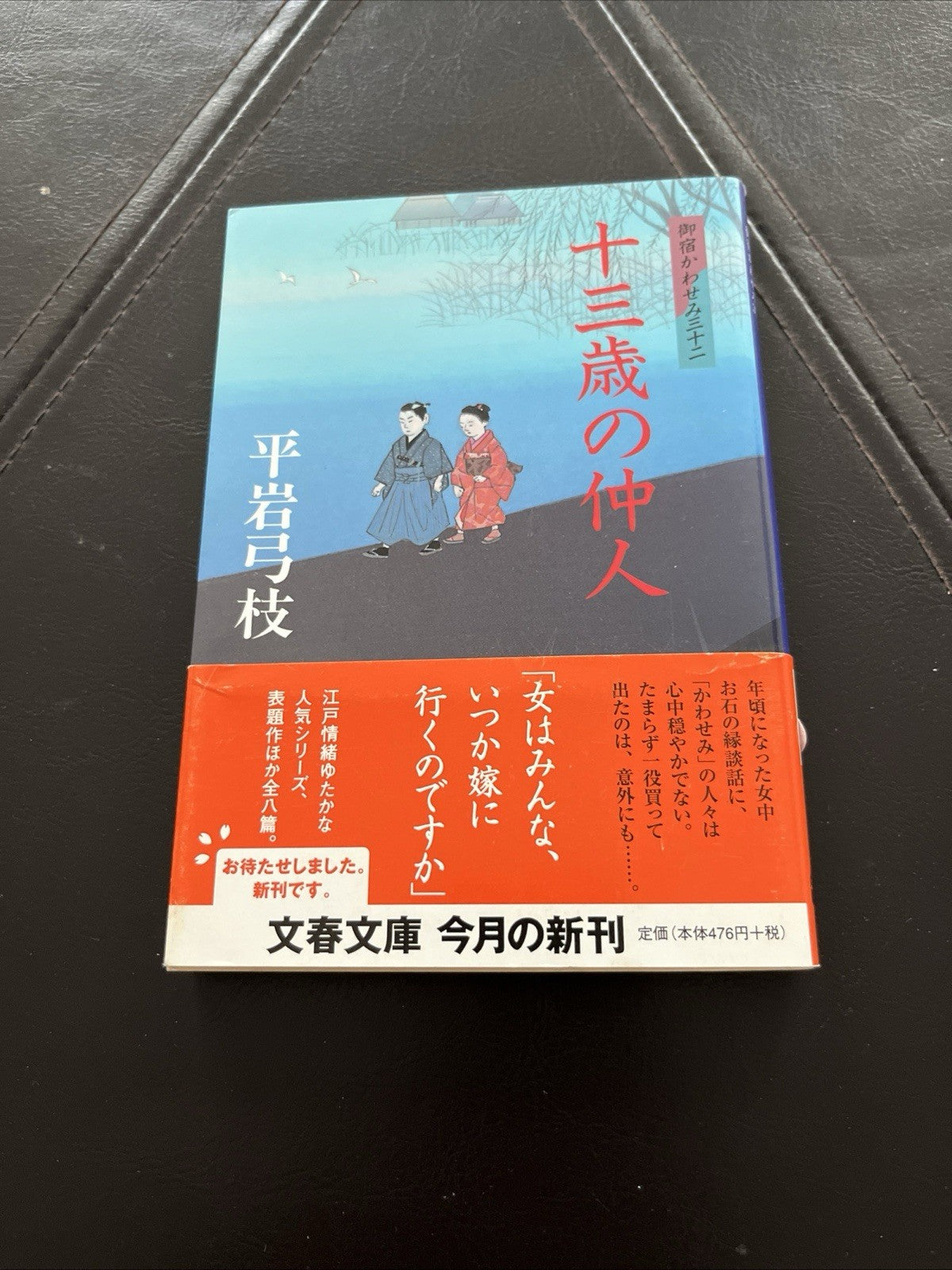 Japanese Novel Book Onyado Kawasemi Series Yumie Hiraiwa Hon 平岩弓枝 御宿かわせみ 時代小説  