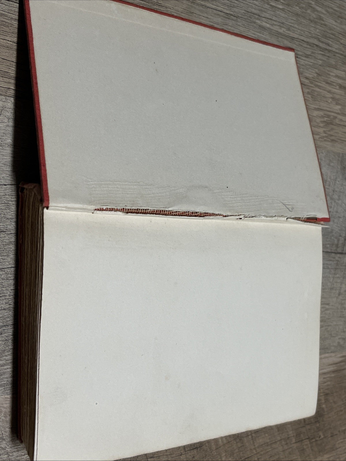 Old Book Gallops 2 by David Gray 1903