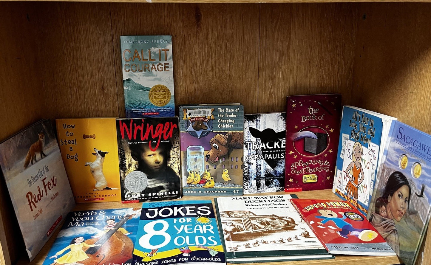 Preteen Books Lot 20 Random