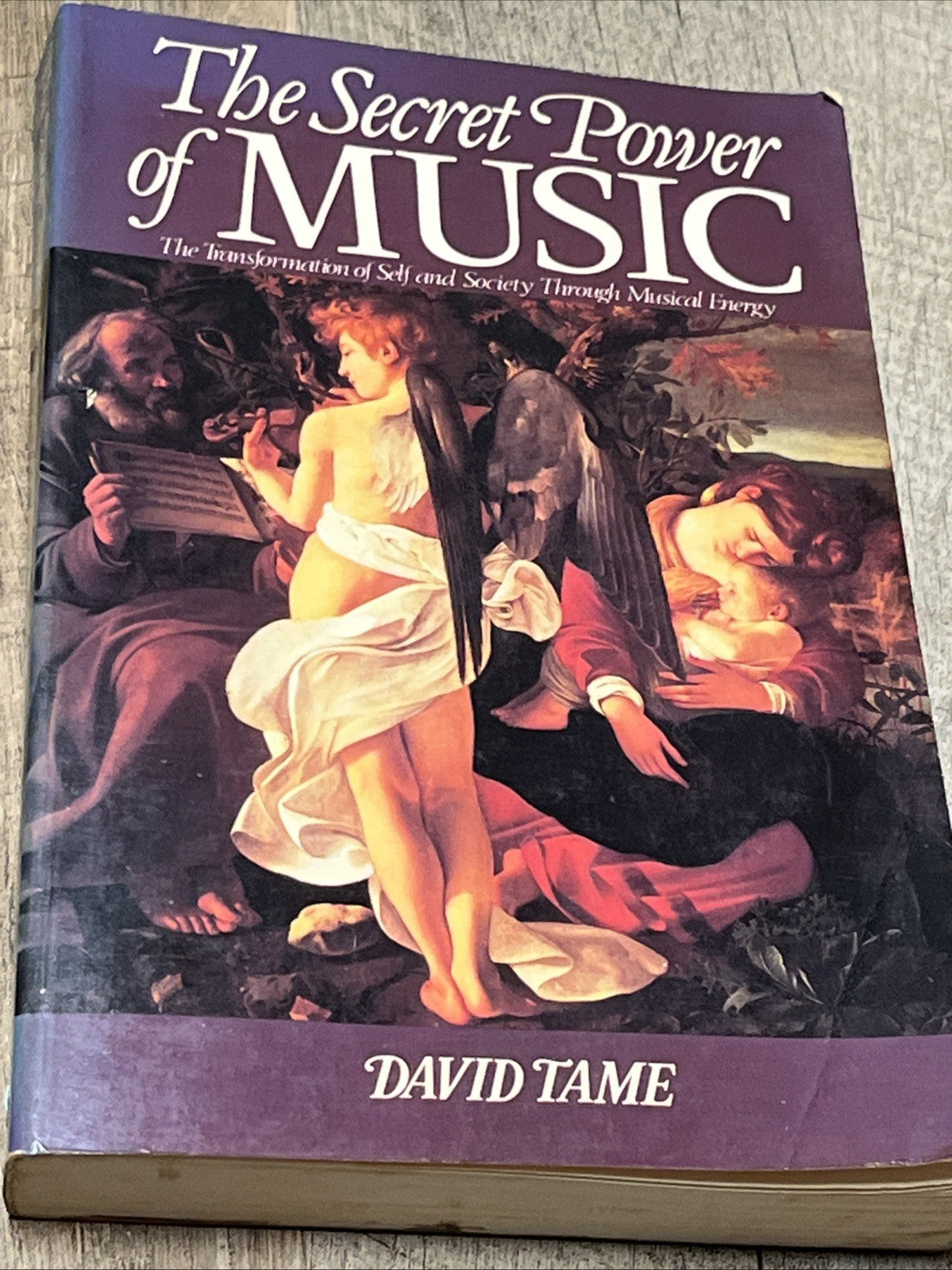 The Secret Power Of Music - David Tame The The Transformation Of Self & Society