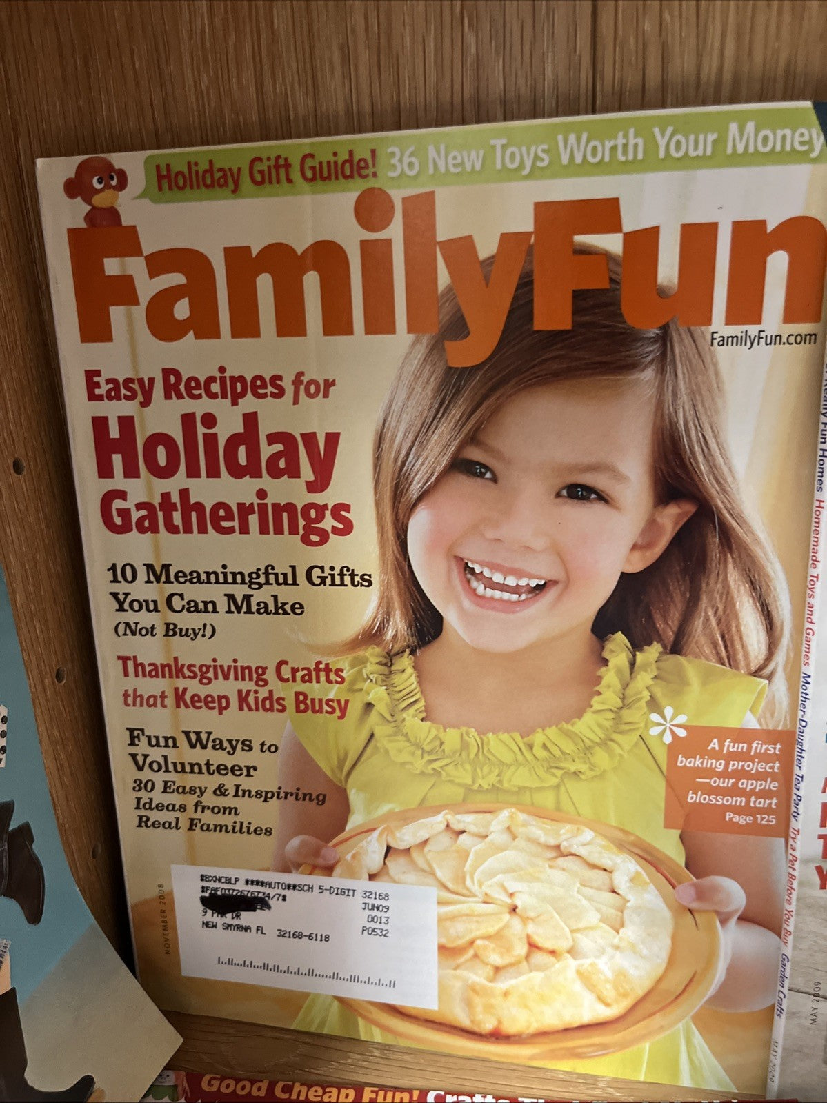 Family Fun Magazine 9 Lot 2008 and 2009 Assorted Issues