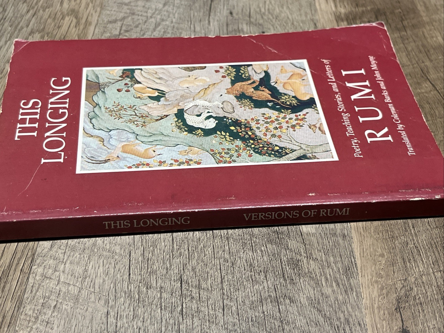 This Longing: Poetry, Teaching Stories, & Letters of Rumi Translated By Coleman