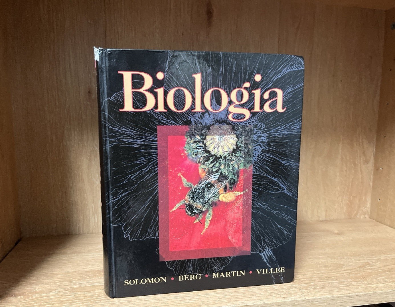 Biology by Eldra Solomon (1993, Hardcover)