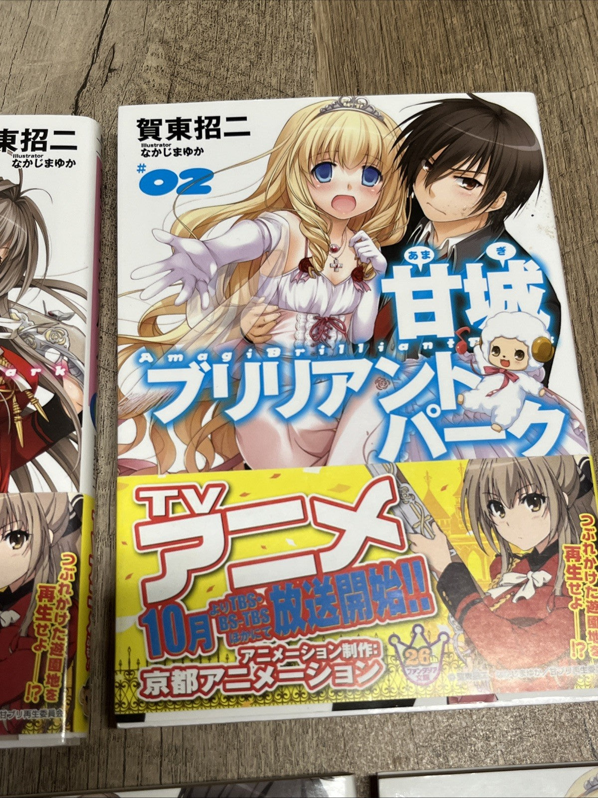 Amagi Brilliant Park Bunko Volumes 1-5 Set (Fujimi Fantasia Bunko) Shoji Gatoh