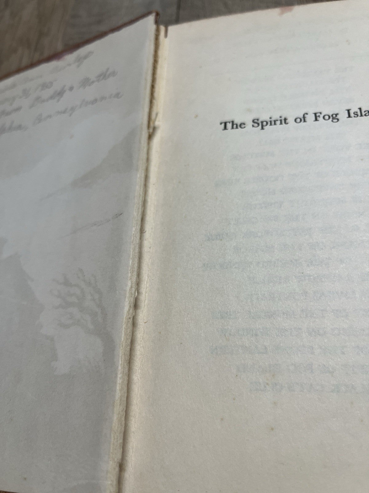 A Judy Bolton Mystery “The Spirit Of Fog Island” 1st Ed Margaret Sutton 1951