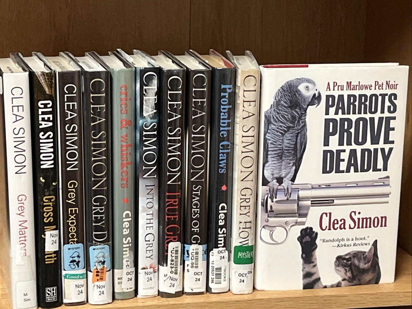 Clea Simon Book Lot 11 Series - Dulcie Schwartz Feline, A Theda Krakow Mystery..