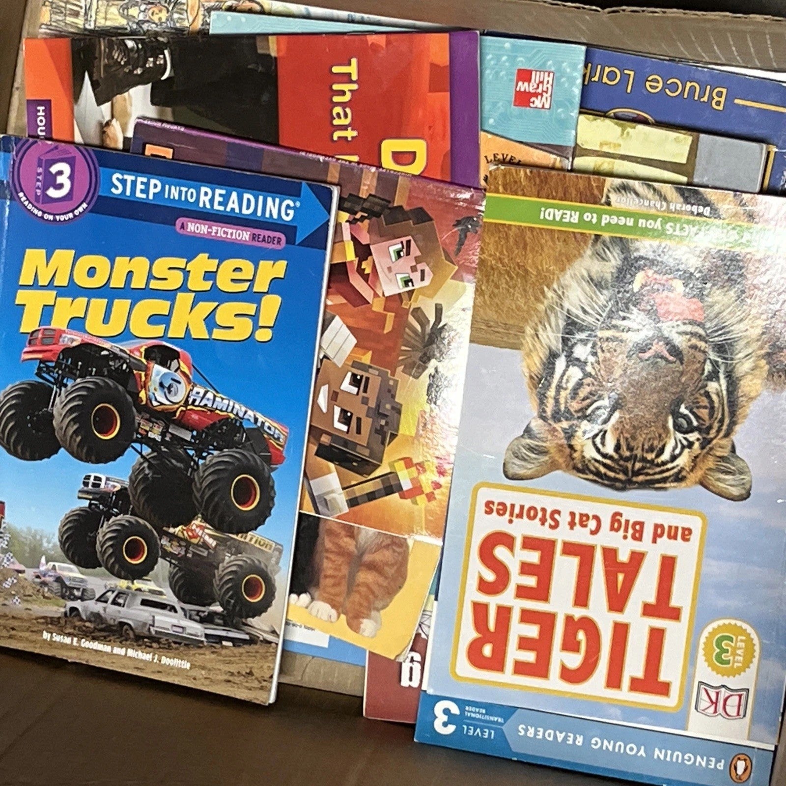 Childrens Picture Books Lot 30