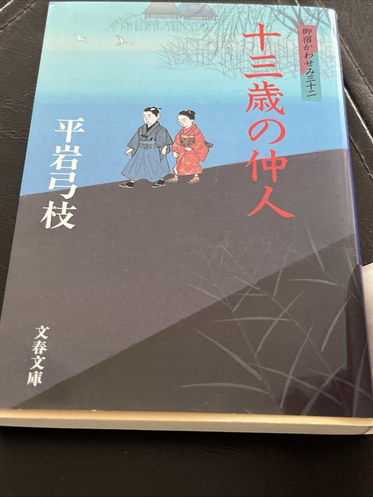 Japanese Novel Book Onyado Kawasemi Series Yumie Hiraiwa Hon 平岩弓枝 御宿かわせみ 時代小説  