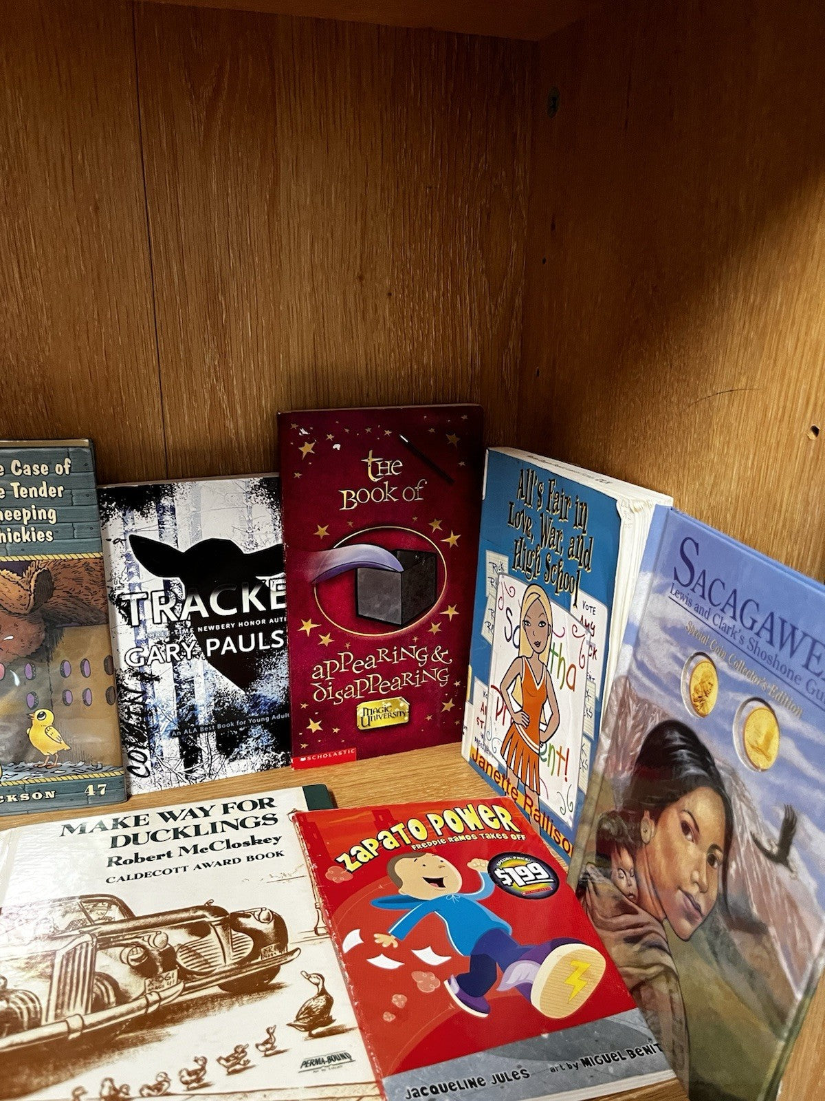Preteen Books Lot 20 Random