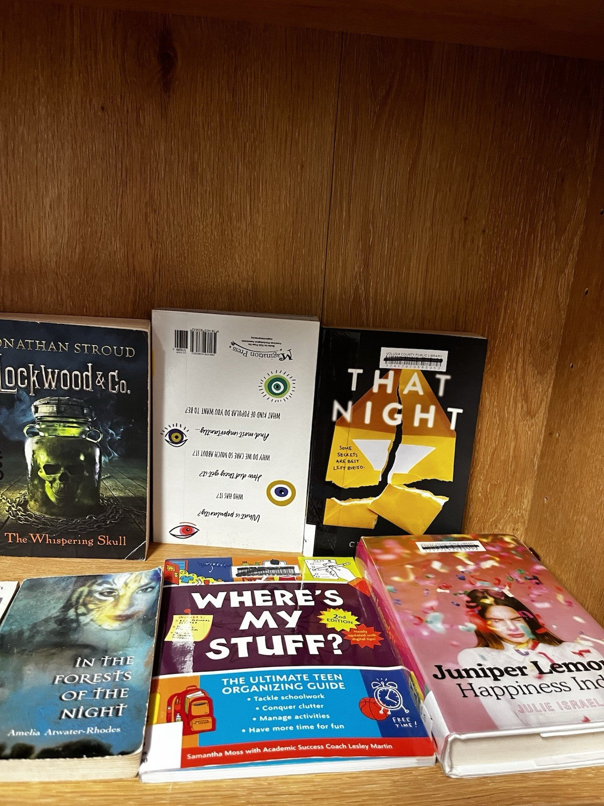 Young Adult book lot 20 Random