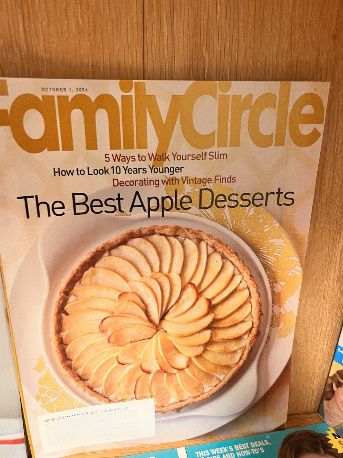 Lot of 8 FAMILY CIRCLE Magazine + Crafts Mag, Quick and Simple Magazine