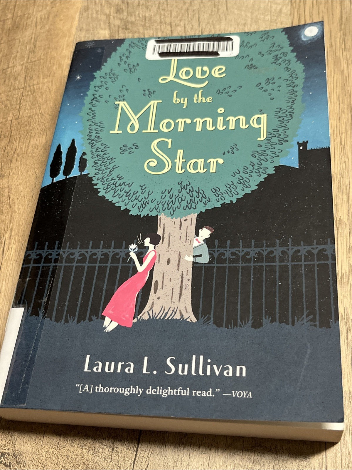 LOVE BY THE MORNING STAR By Laura L. Sullivan **Good Condition** 2014 EX-LIB