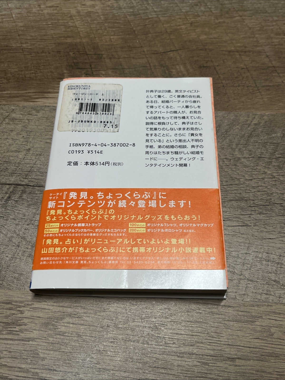 Virgin Road Volume 1 and 2 ヴァージン・ロード　下  By Jiro Akagawa ( Kadokawa Bunko)