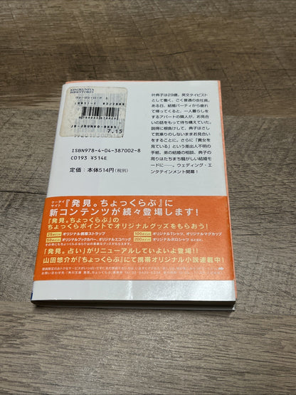 Virgin Road Volume 1 and 2 ヴァージン・ロード　下  By Jiro Akagawa ( Kadokawa Bunko)