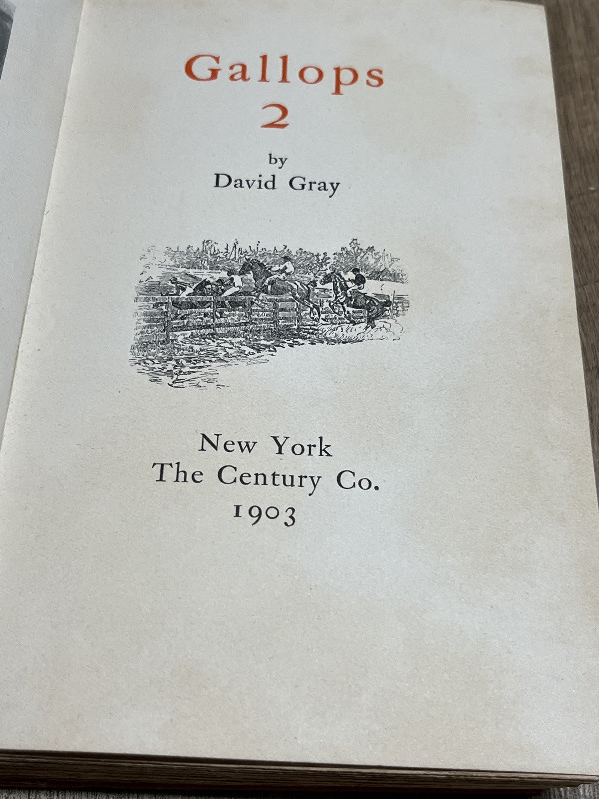Old Book Gallops 2 by David Gray 1903