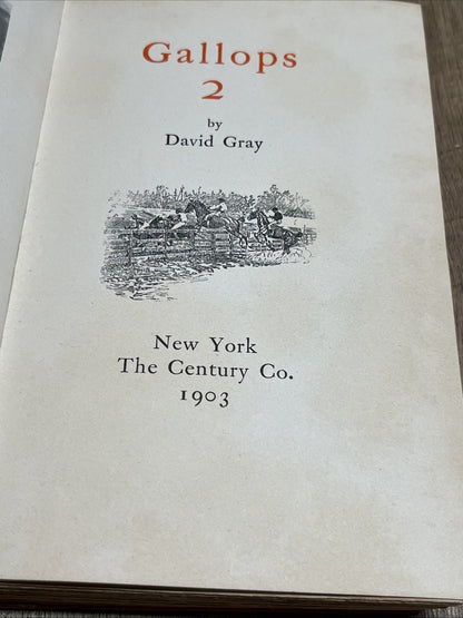 Old Book Gallops 2 by David Gray 1903