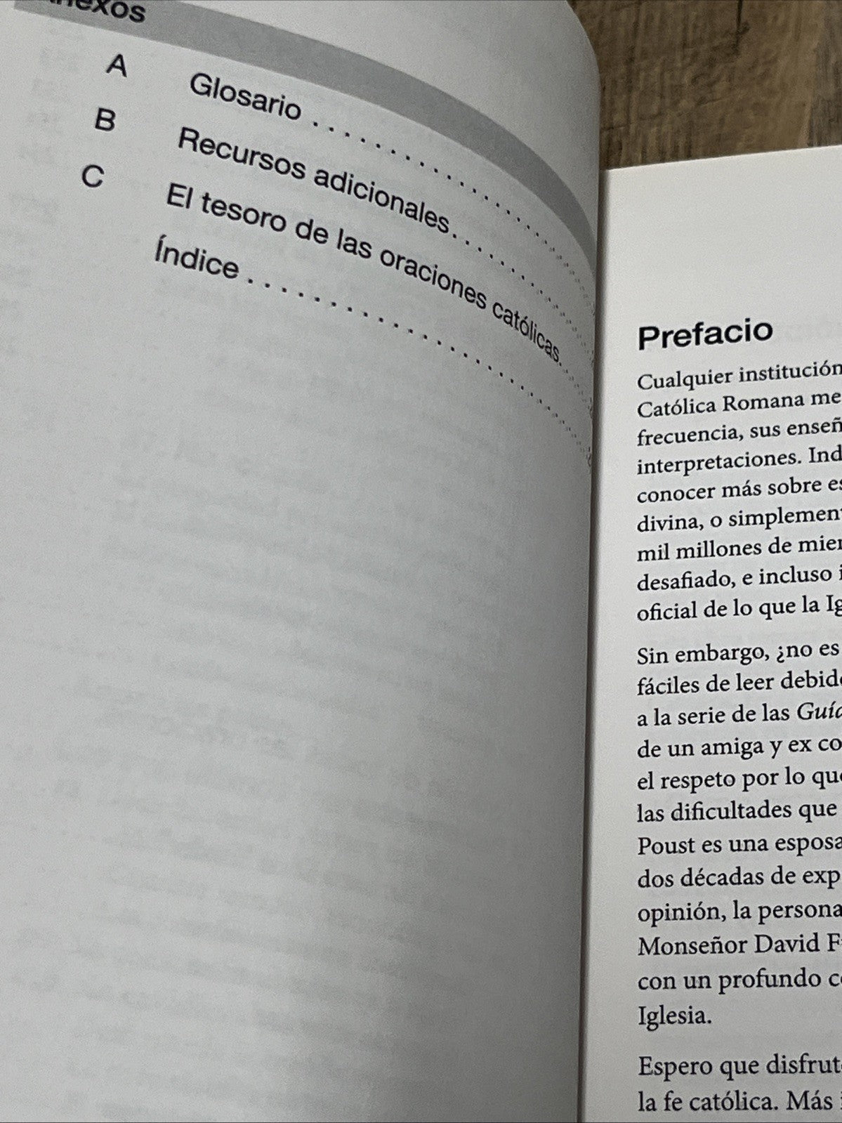 La guia esencial del catecismo de la igelia catolica (Guia Esencial para / Esse
