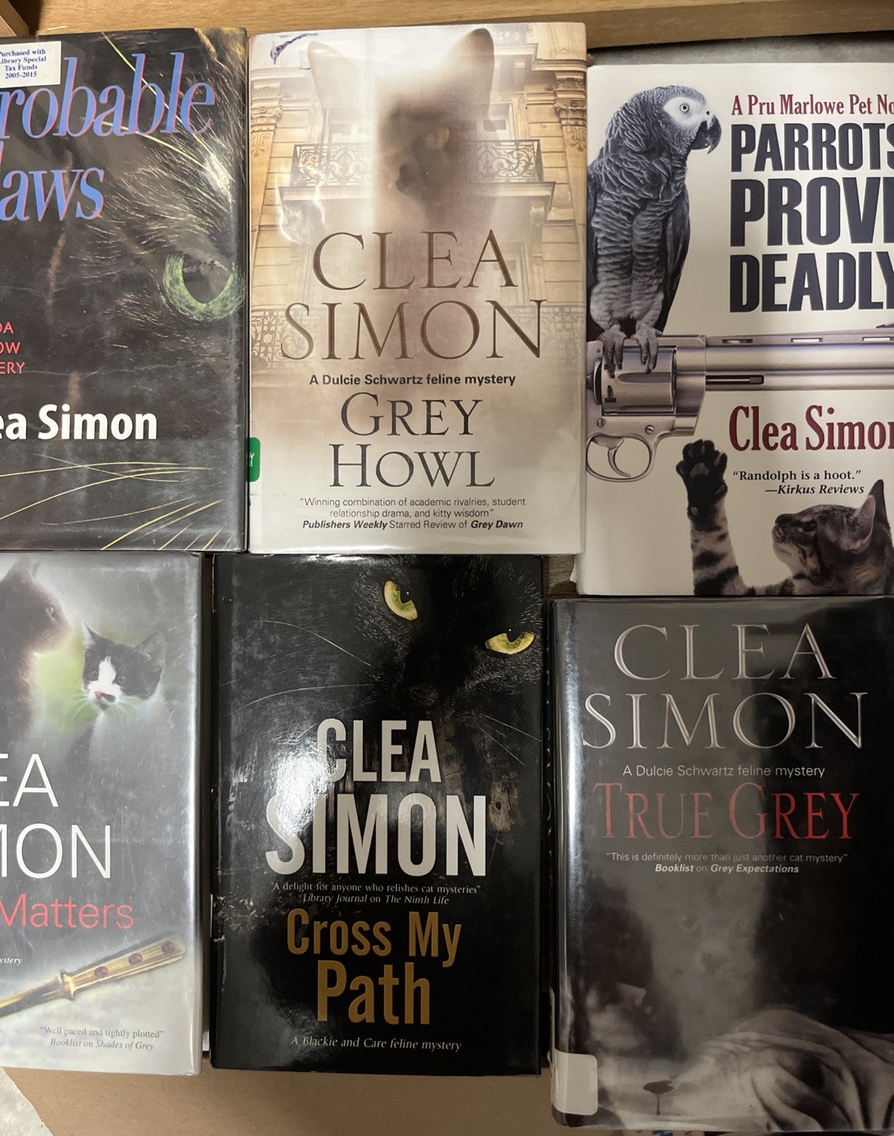 Clea Simon Book Lot 11 Series - Dulcie Schwartz Feline, A Theda Krakow Mystery..