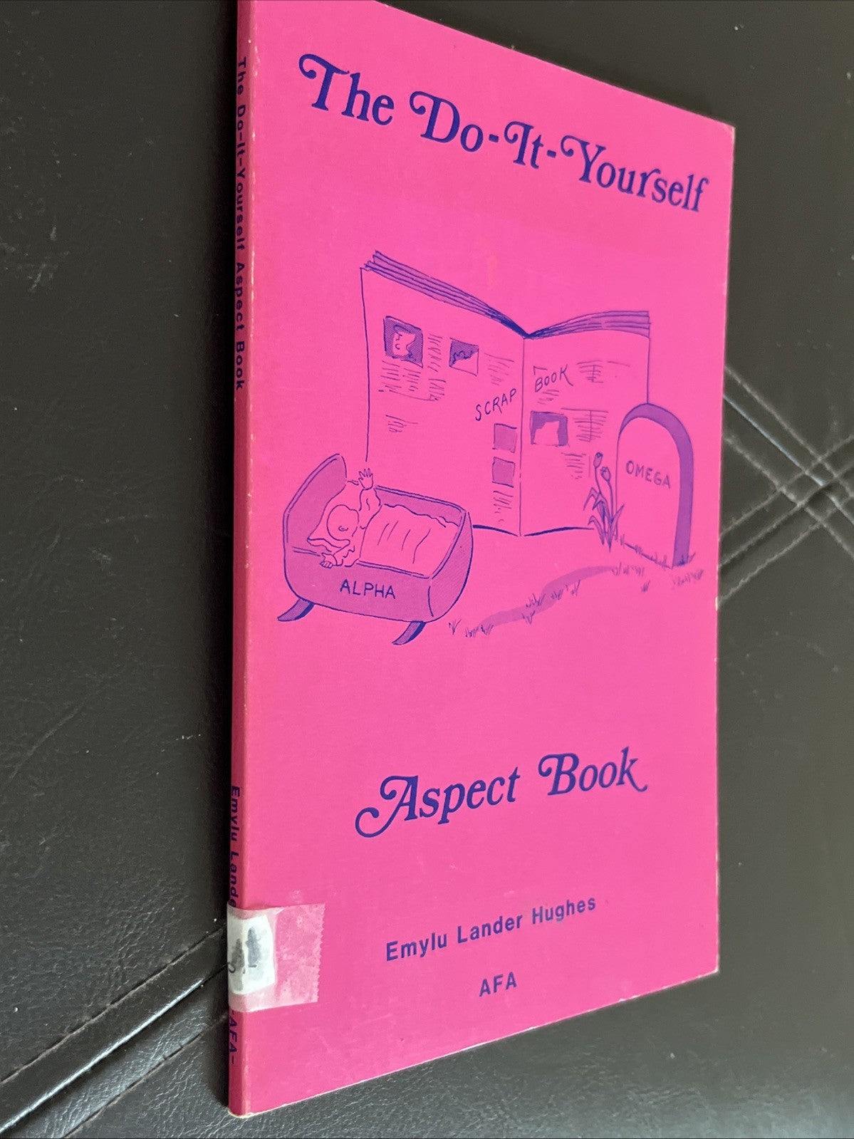 DO-IT-YOURSELF ASPECT BOOK By Emylu L. Hughes