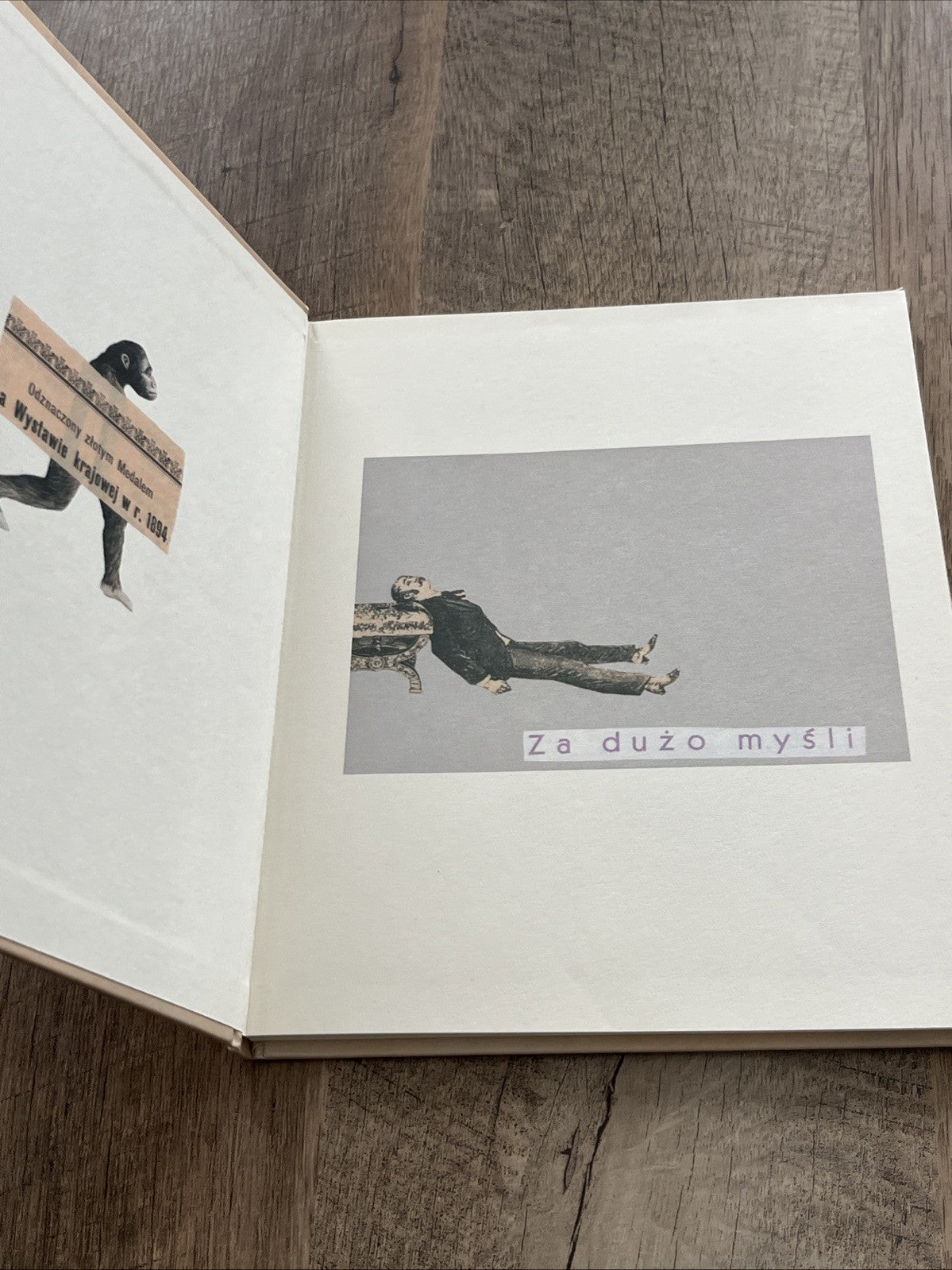 Rymowanki dla dużych dzieci (duzych) WISŁAWA SZYMBORSKA (WISLAWA) / a5