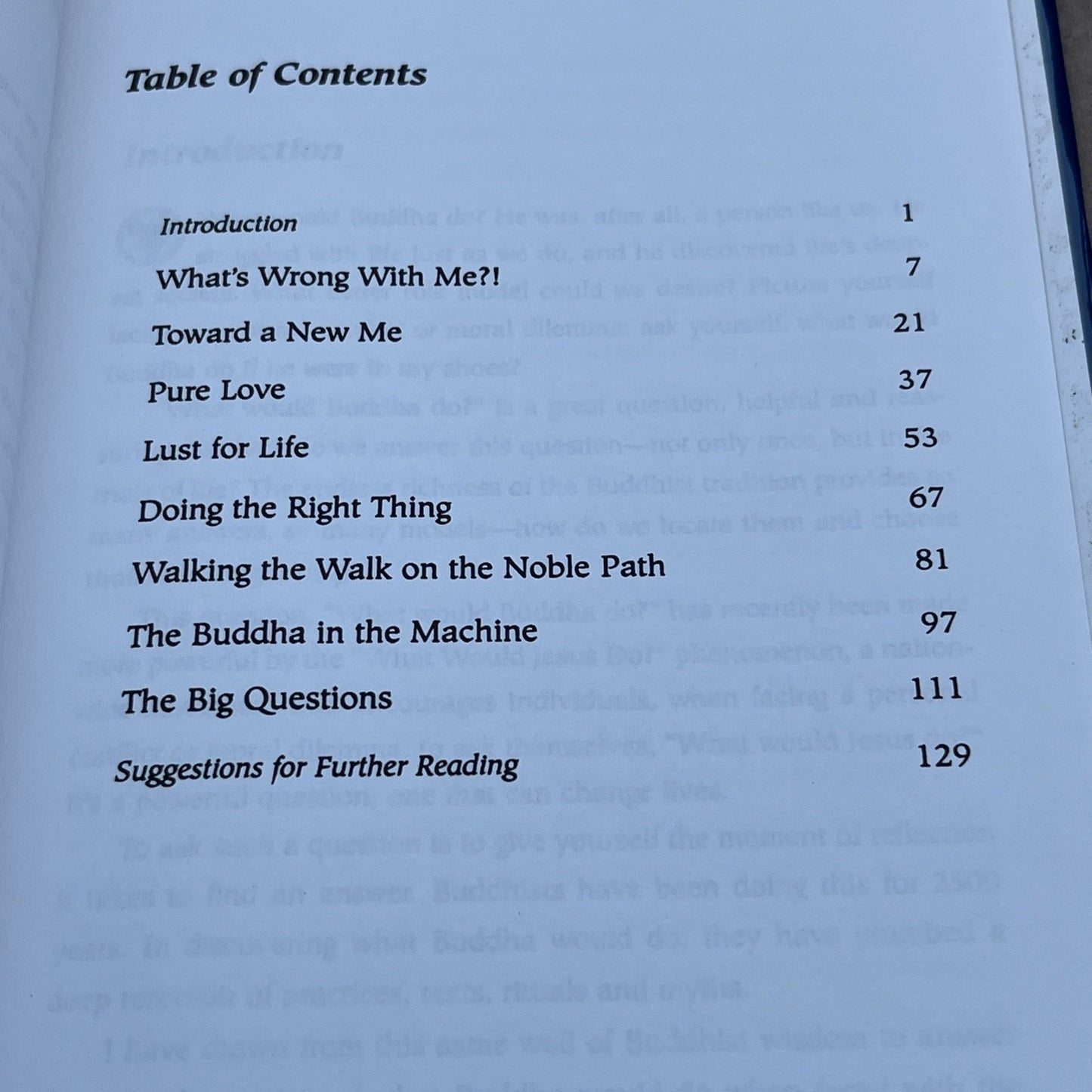 What Would Buddha Do By Metcalf, Franz - Hardcover  1999 GOOD