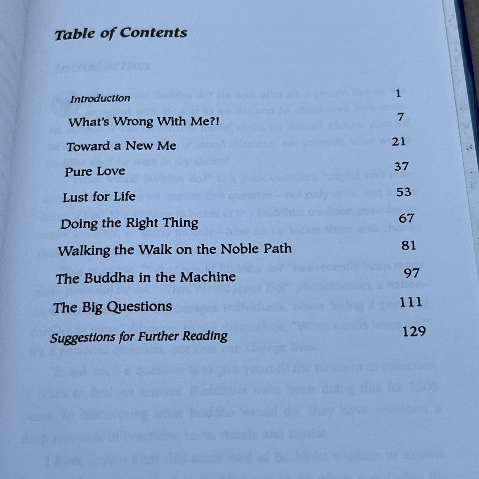 What Would Buddha Do By Metcalf, Franz - Hardcover  1999 GOOD