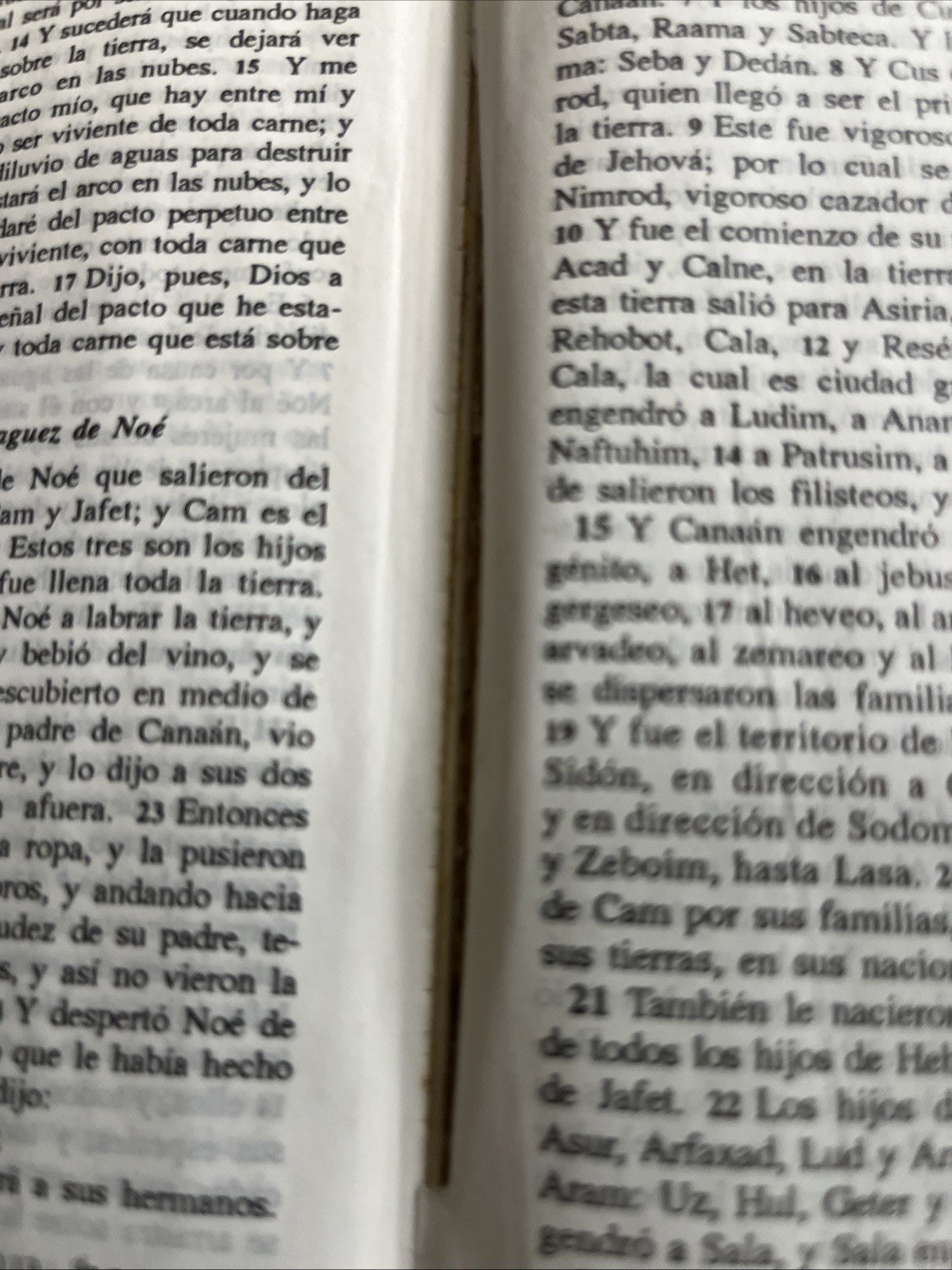 Bíblia del Ministro -La Santa Biblia  Antiguo y Nuevo - Imitation Leather, Vida