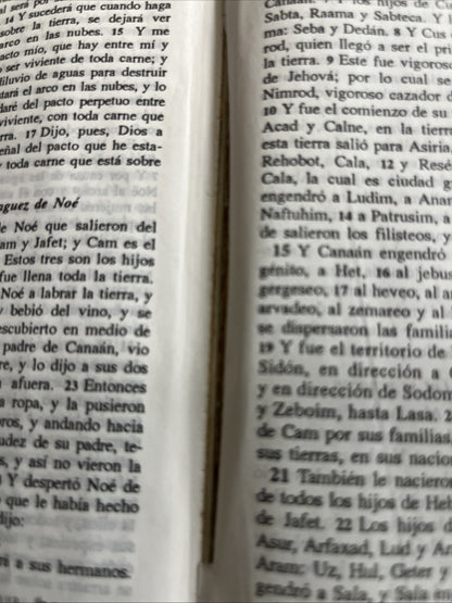 Bíblia del Ministro -La Santa Biblia  Antiguo y Nuevo - Imitation Leather, Vida