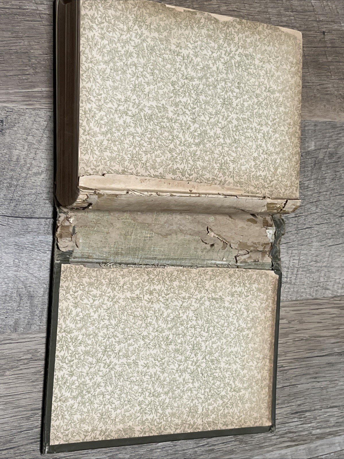 The Autocrat of the Breakfast Table by Oliver Wendell Holmes 1858- Missing Pages