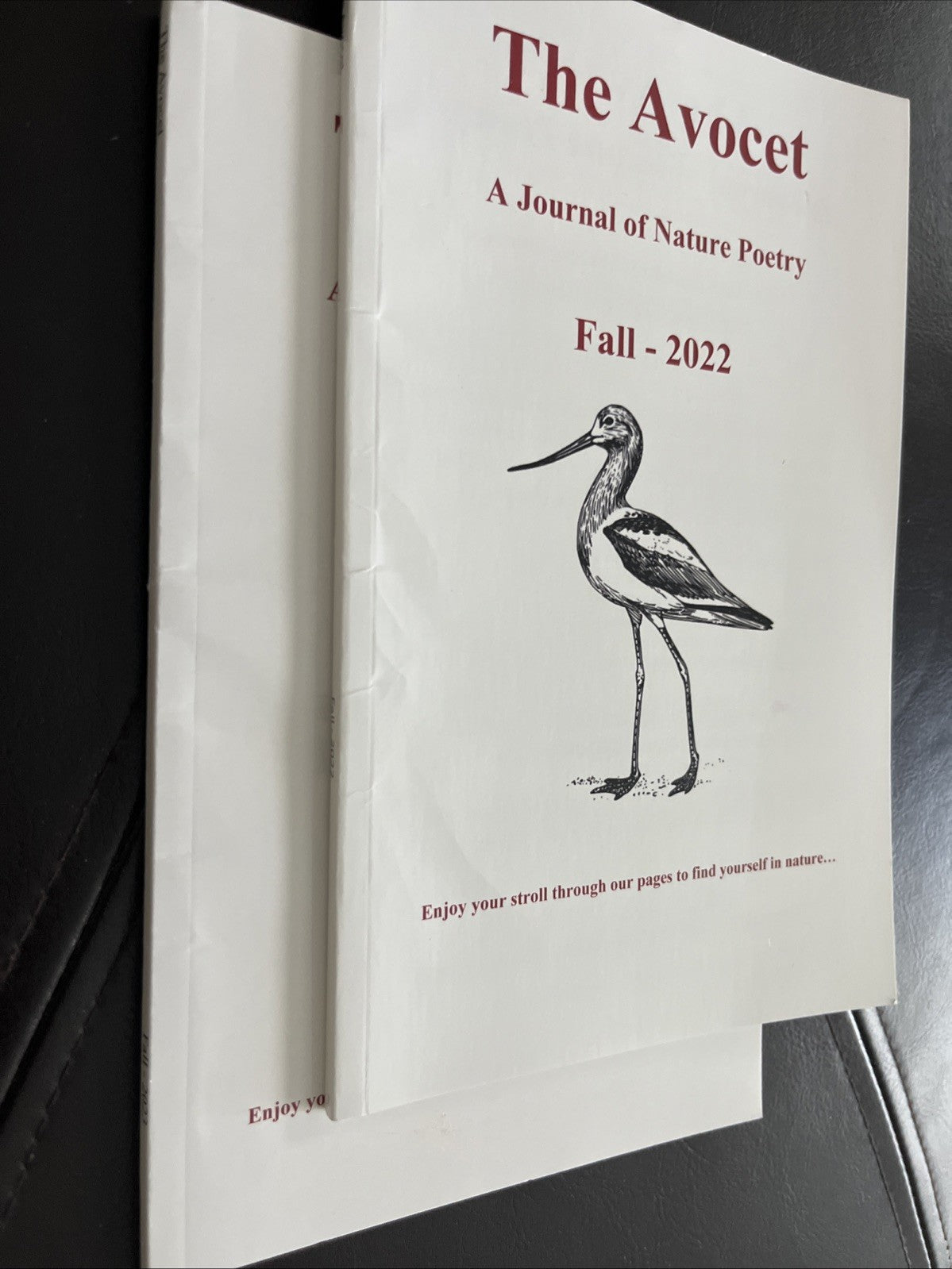 The Avocet : A Jouney of Nature Poetry Fall 2022 - 2023