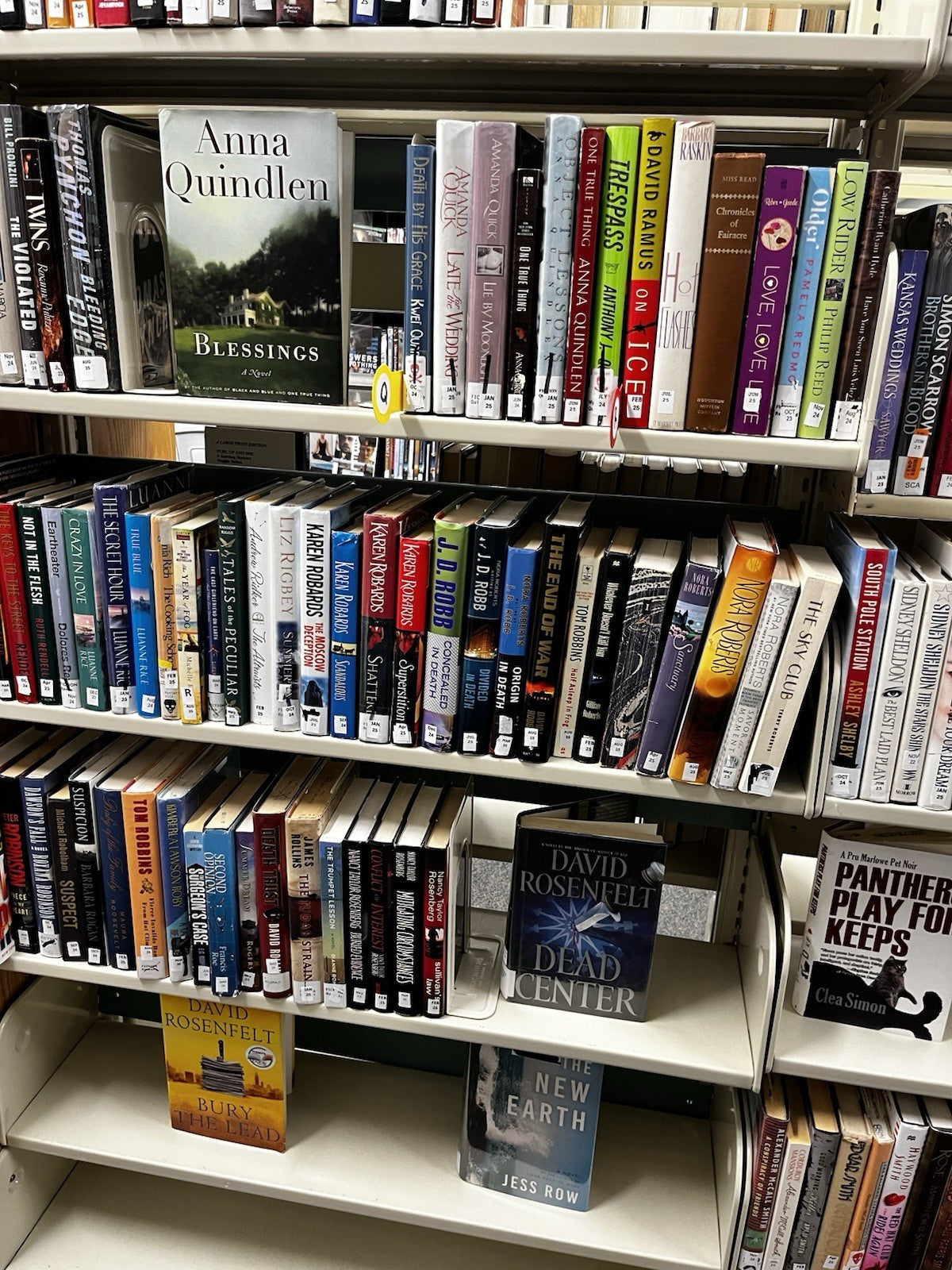 Wholesale Book Lot 202 Paperback/Hardcover Novels Cookbooks & More