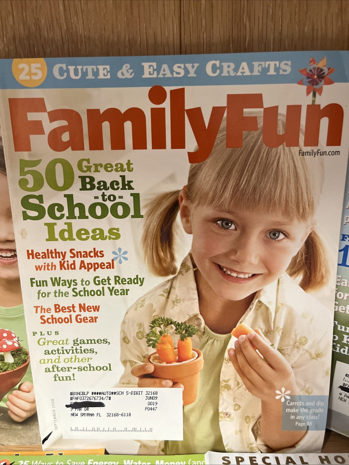 Family Fun Magazine 9 Lot 2008 and 2009 Assorted Issues