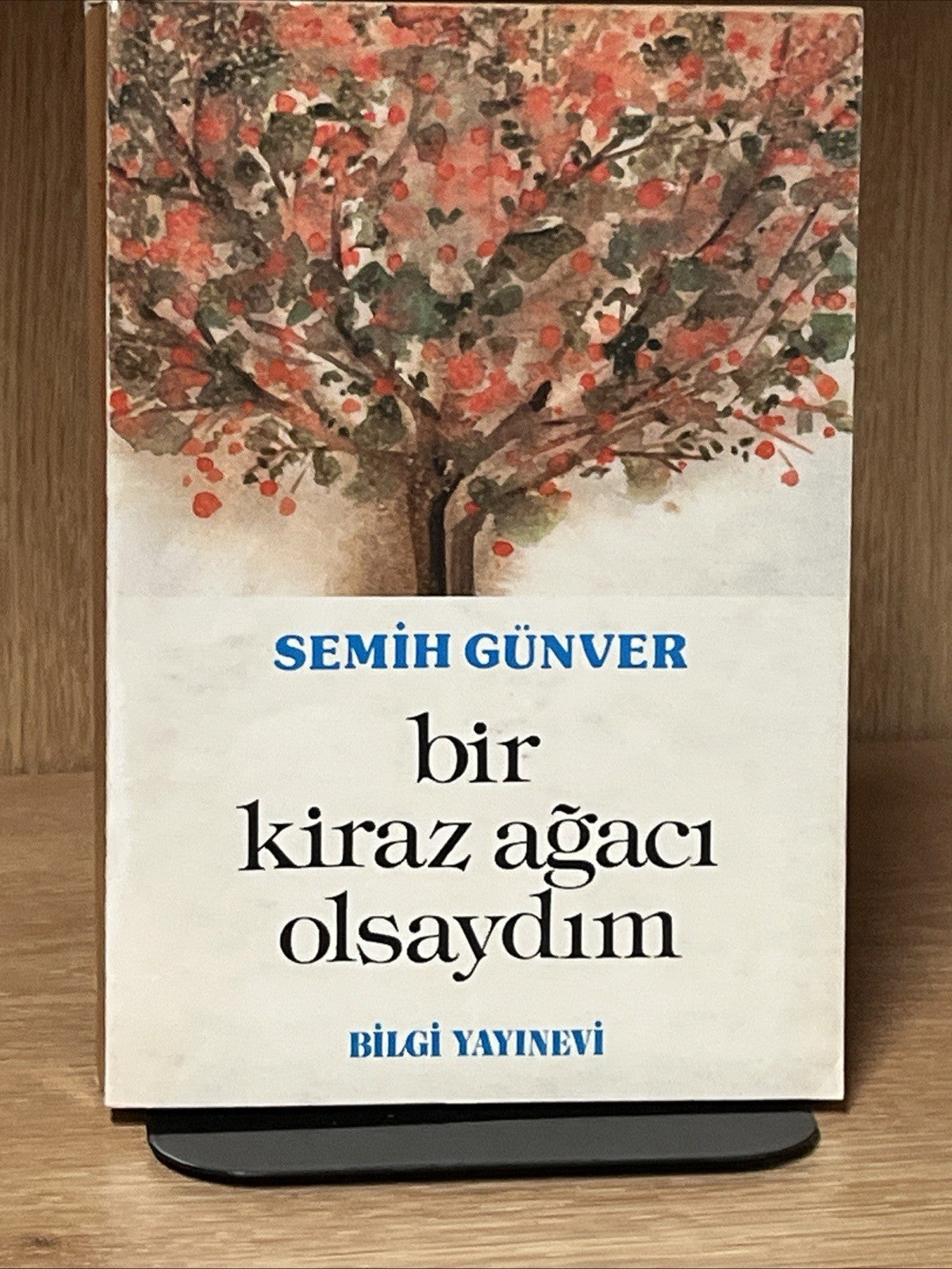 SEMIH GUNVER, BİR KİRAZ AĞACI OLSAYDIM BiLGI YAYINEVI Bir Hariciyecinin Anilari