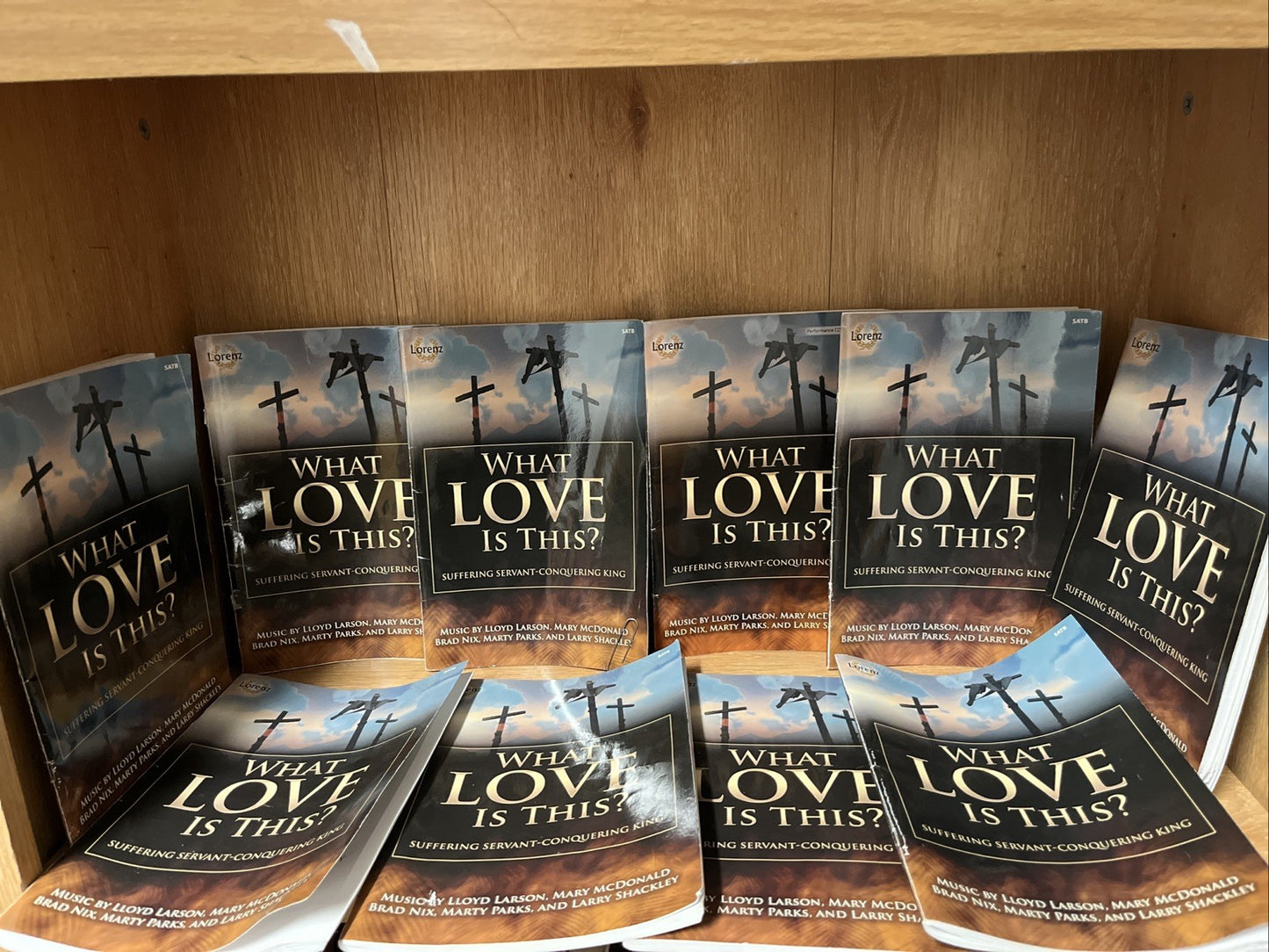 LOT OF 10 WHAT LOVE IS THIS? SAB: SUFFERING SERVANT CONQUERING KING Lloyd Larson