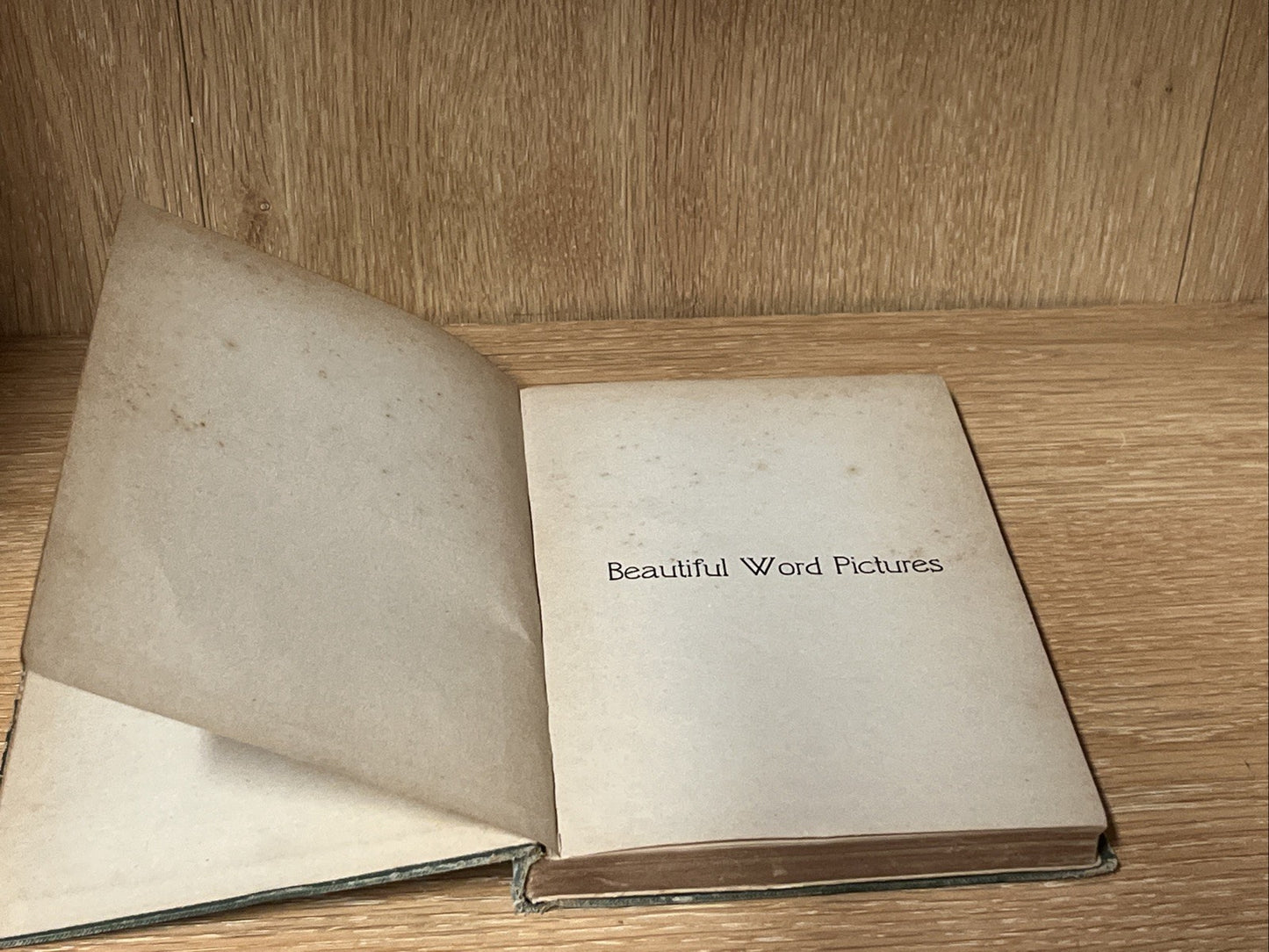 The Beautiful World Pictures of the Epistle to the Ephesians 1st Ed Haynes 1911