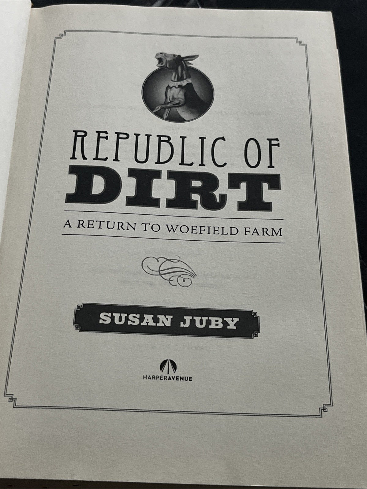Republic Of Dirt by Susan Juby