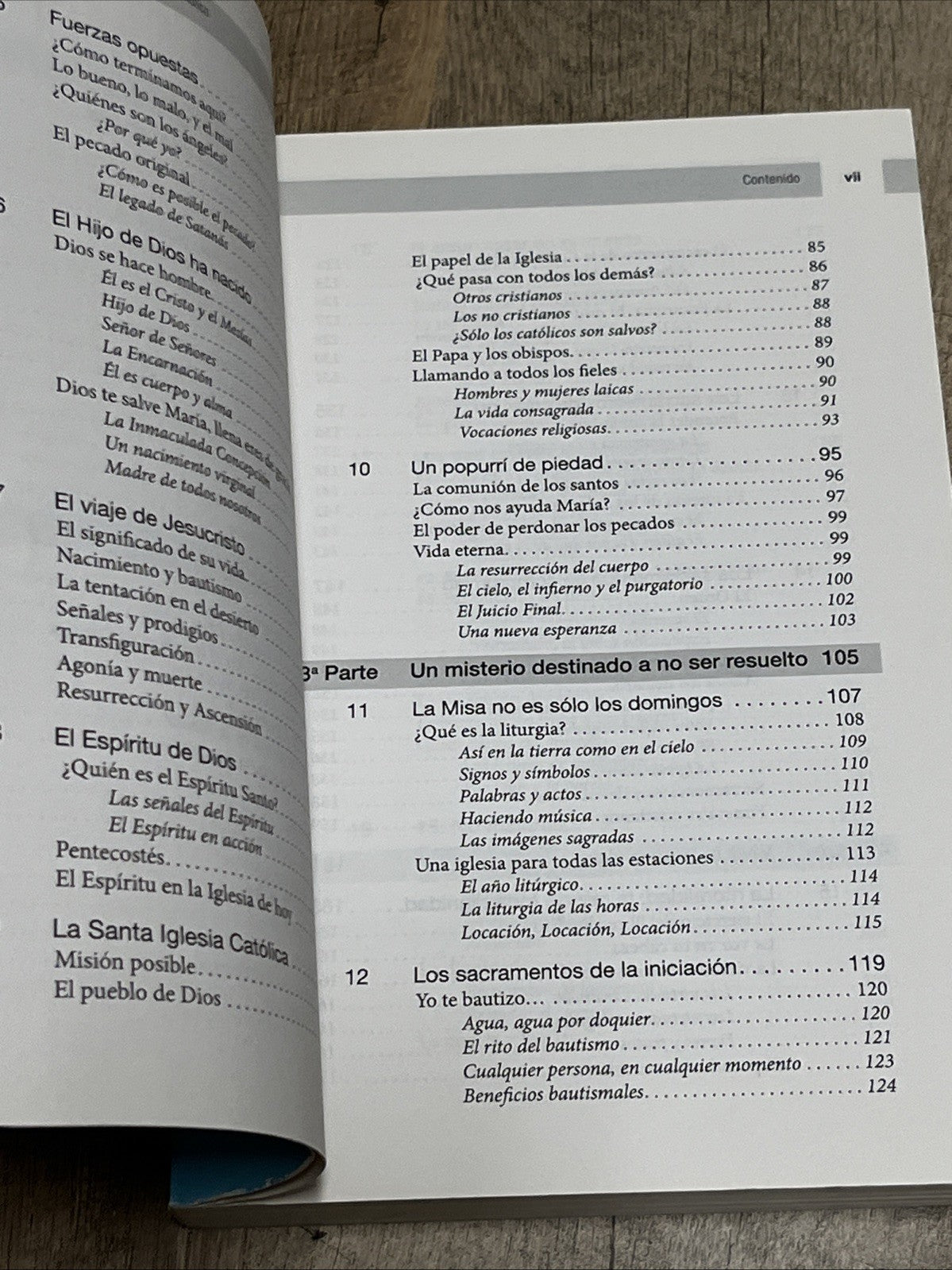La guia esencial del catecismo de la igelia catolica (Guia Esencial para / Esse